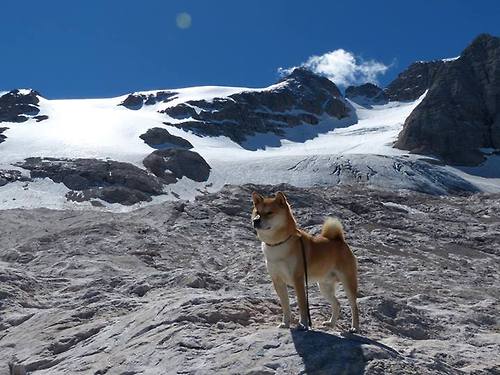 德甲升班马连续获胜，排名快速上升，本赛季德甲升班马